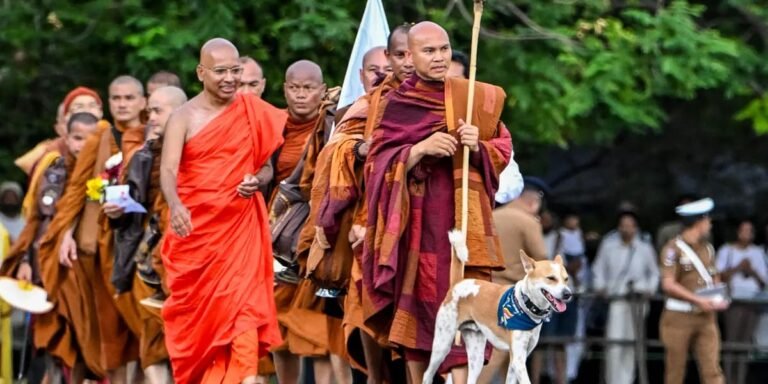 Monk ends barefoot Sri Lanka trek with a dog and plea for peace