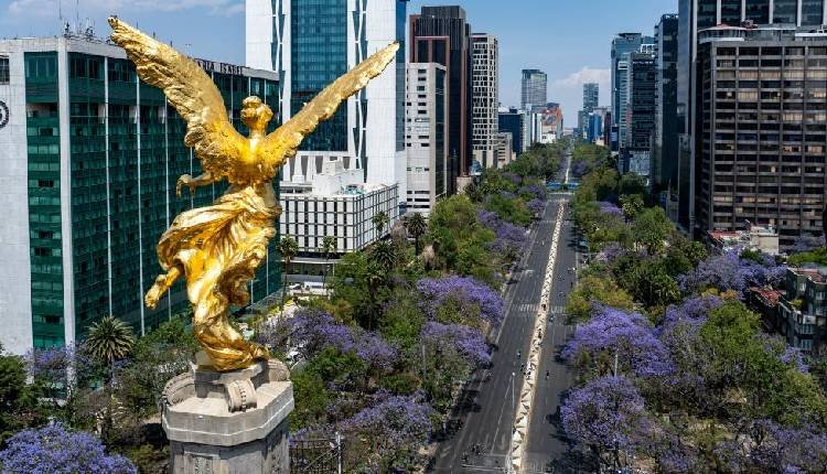 Joint India-US Venture NISAR Shows Mexico City Sinking At Alarming Pace | World
