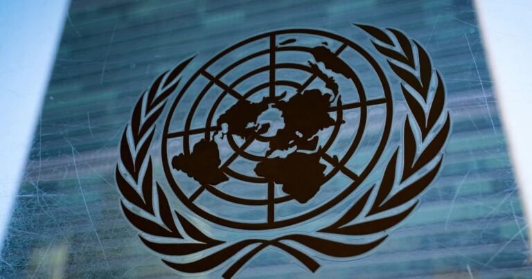India’s economy projected to grow at 6.4 per cent this year: UN