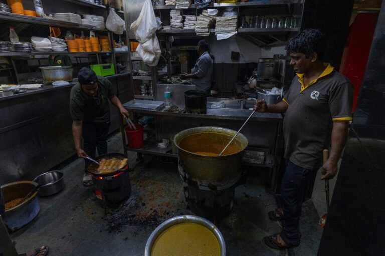 Energy shock ripples through kitchens, forests and conservation in Africa and South Asia