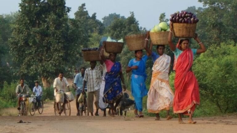India’s workforce is stuck in low productivity. Here’s what must change