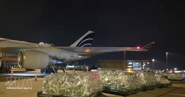 Vietnam seeks new export pathways to Middle East, South Asia